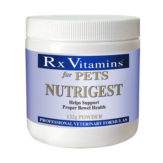Nutrigest Bulk Powder (132 gm Powder)