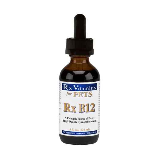 Rx B12 (4 fl oz)