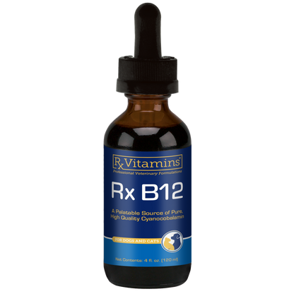 Rx B12 (4 fl oz)